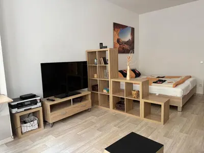TV/Unterhaltungsangebot in der Unterkunft Appartement Chemnitz-Kaßberg