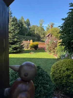 Ein Garten an der Unterkunft Ferienwohnungen WeberHaus
