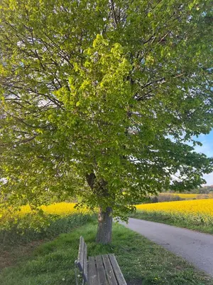 Naturlandschaft in der Nähe der Ferienwohnung