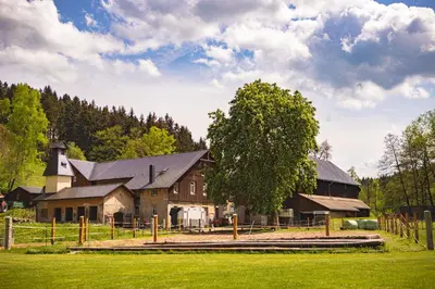 Naturlandschaft in der Nähe der Ferienwohnung