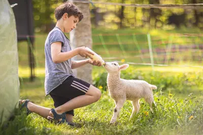 Gäste, die in der Unterkunft Körnermühle übernachten