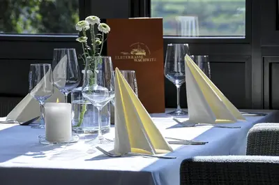 Getränke in der Unterkunft Elbterrasse Wachwitz