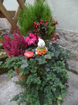 Ein Garten an der Unterkunft Ferienwohnung an der Therme