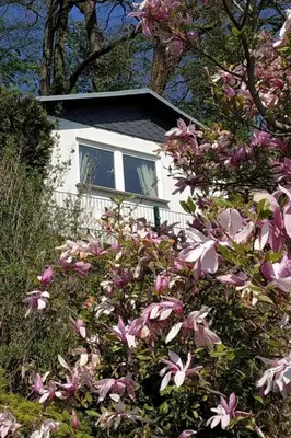 Ein Garten an der Unterkunft Holiday Home in Pirna mit Schöner Terrasse by Interhome