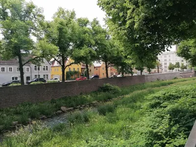 Ein Garten an der Unterkunft Die Wasserlilie in Dresden-Plauen