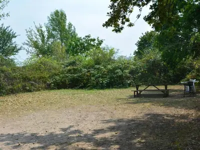 Ein Garten an der Unterkunft Apartment SACHSENLIEBE by Interhome