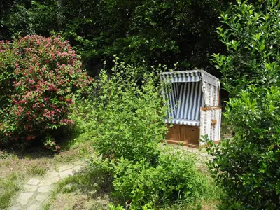 Ein Garten an der Unterkunft Ferienhaus am Urzeitpark Sebnitz