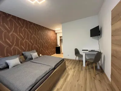 TV/Unterhaltungsangebot in der Unterkunft Apartment Zum Schlosspark Lauchhammer