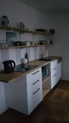 Küche/Küchenzeile in der Unterkunft Villa im Park Wachwitzgrund - Große Ferienwohnung in EG der Villa