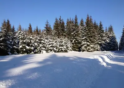 Erzgebirgsferien im Winter