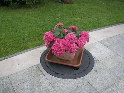 Ein Garten an der Unterkunft Wohnung in Lichtenhain beim Böhmischen Park