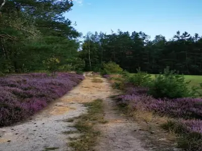 Naturlandschaft in der Nähe der Ferienwohnung