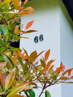 Grundriss der Unterkunft Ferienhaus Fuxbau