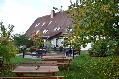 Ein Garten an der Unterkunft Pension Am Kirschberg
