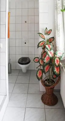 Ein Badezimmer in der Unterkunft Pension Pieschen Dresden