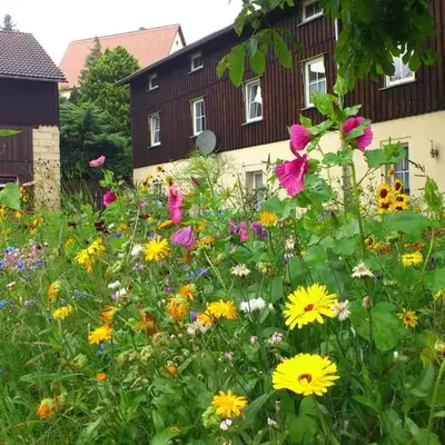 chicke Ferienwohnung in Struppen