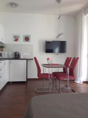 Küche/Küchenzeile in der Unterkunft Apartment am Zwingerteich