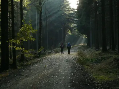 Gäste, die in der Unterkunft Zimmervermietung Heide Fiege übernachten