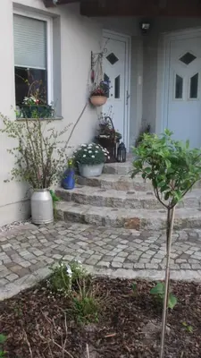 Ein Garten an der Unterkunft FeWo Strohbach