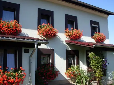 Ein Garten an der Unterkunft Ferienwohnung Bayer