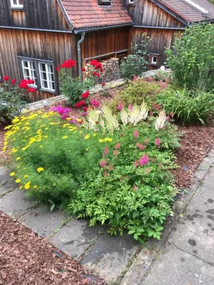 Ein Garten an der Unterkunft Haus Bergfriede