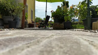 Ein Garten an der Unterkunft Ferienwohnung Lindemann