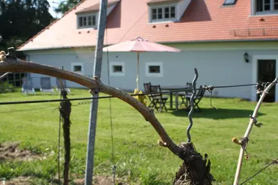 Ein Garten an der Unterkunft Weingut Haus Steinbach
