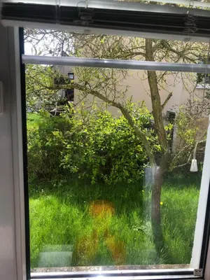Ein Garten an der Unterkunft Wohlfühloase Dresden Nickern