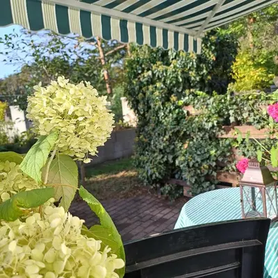 Ein Garten an der Unterkunft Pension Mark