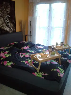 Ein Bett oder Betten in einem Zimmer der Unterkunft Ferienwohnung Naturnah