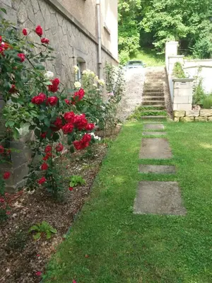 Ein Garten an der Unterkunft Ferienwohnung 