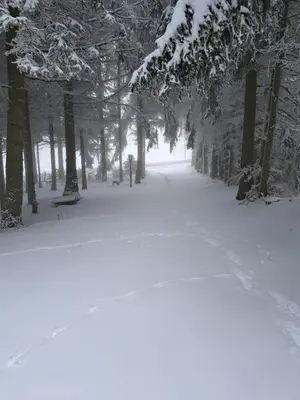 Waldhaus St. Egidien im Winter