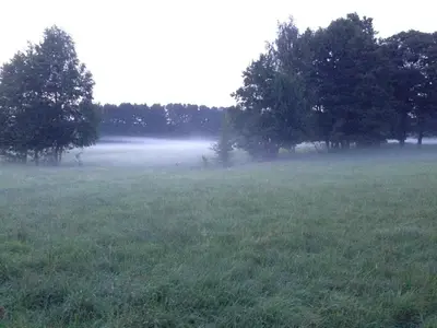 Naturlandschaft in der Nähe of country house