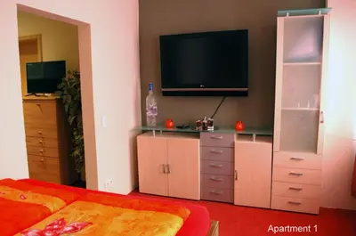 TV/Unterhaltungsangebot in der Unterkunft Monteur - Budget Apartments Freital