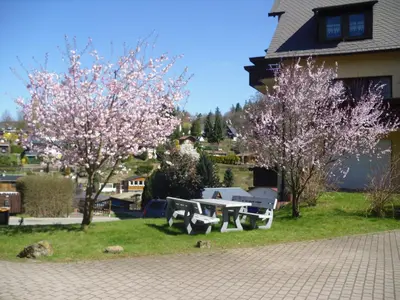 Ein Garten an der Unterkunft Ferienwohnung Rothe