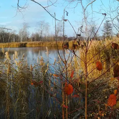 Naturlandschaft in der Nähe des Ferienhauses
