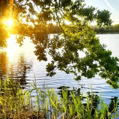 Naturlandschaft in der Nähe des Ferienhauses