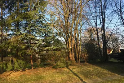 Ein Garten an der Unterkunft Whg./flat am Großen Garten in Dresden