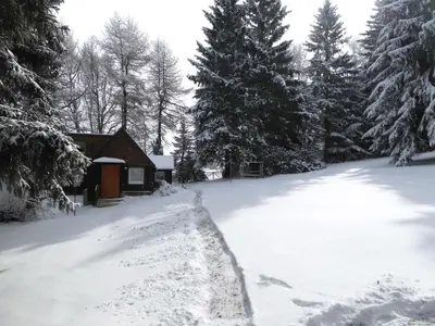 Klein Hohe Fichten im Winter