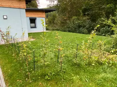 Ein Garten an der Unterkunft Villa Wilisch