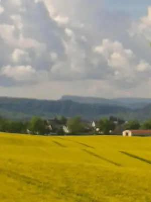 Naturlandschaft in der Nähe der Ferienwohnung