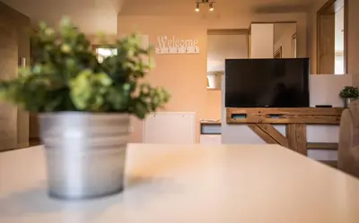 TV/Unterhaltungsangebot in der Unterkunft Adlerhof