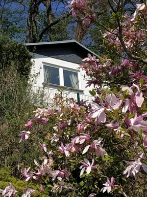 Ein Garten an der Unterkunft Das Ferienhaus mit Aussicht