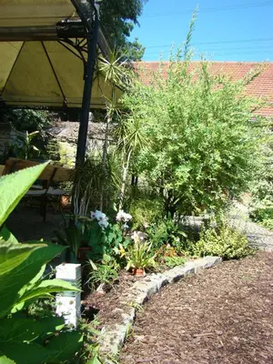 Ein Garten an der Unterkunft Ferienwohnung TOSCANA