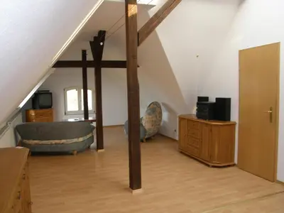 TV/Unterhaltungsangebot in der Unterkunft Villa Bellevue Dresden