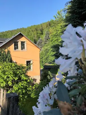 Ein allgemeiner Bergblick oder ein Berglick von der Ferienwohnung aus
