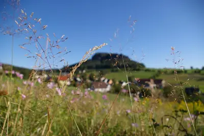 Naturlandschaft in der Nähe der Ferienwohnung