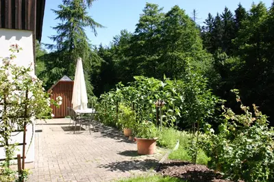 Ein Garten an der Unterkunft Ferienwohnung Erzgebirge