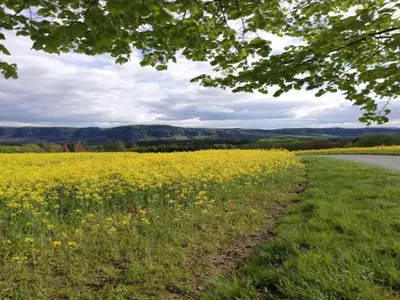 Naturlandschaft in der Nähe der Ferienwohnung