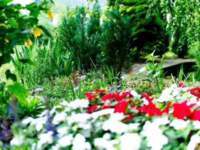 Ein Garten an der Unterkunft Hotel Albrechtshof Gohrisch